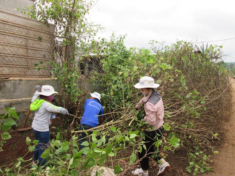 Khoảnh khắc Mùa hè xanh 2015